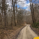 Vandalia Road checks almost all of my boxes: gravel/dirt, water crossings (albeit very small creeks), twisty, hilly.